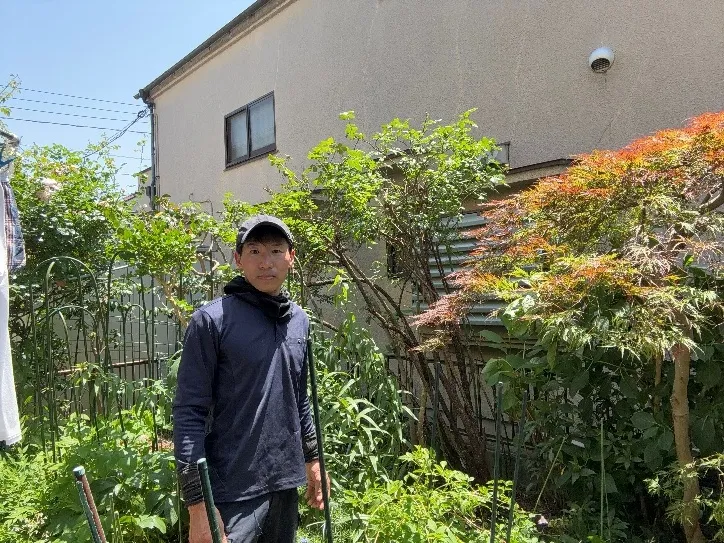 植木剪定作業