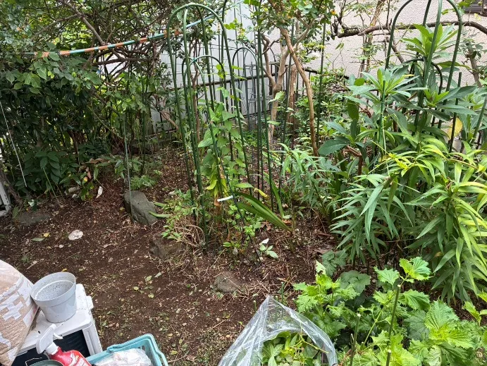 除草作業を終えた庭
